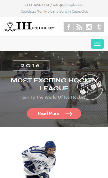 冰球运动爱好者触屏版自适应手机wap网站模板源码下载
