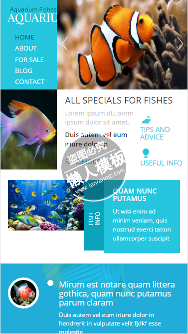 AQUARIUS海洋鱼类出售触屏版html5手机wap宠物网站模板下载