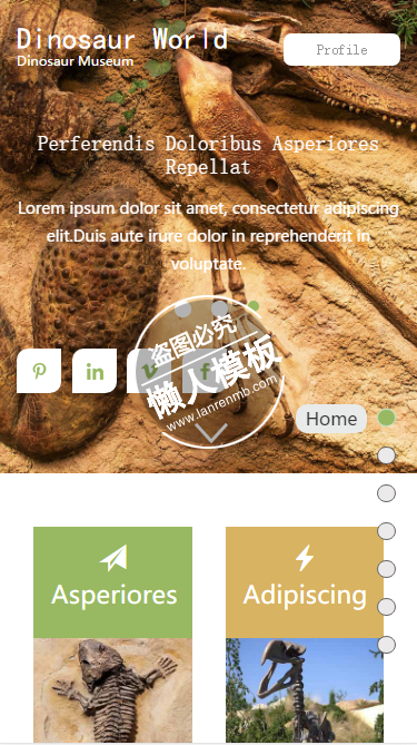 Dinosaur World恐龙世界触屏版html5手机wap宠物网站模板下载