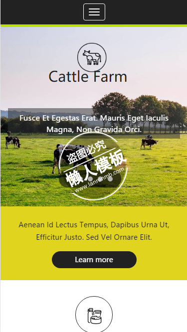 Cattle Farm奶牛饲养html5手机wap生态农业企业网站模板免费下载