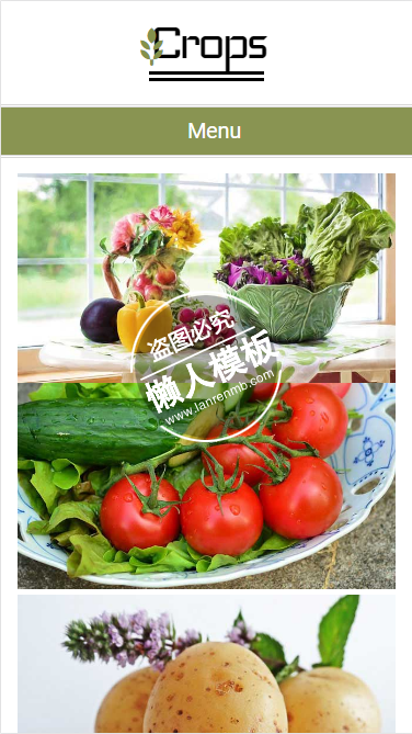 温棚蔬菜种植html5手机wap生态农业企业网站模板免费下载