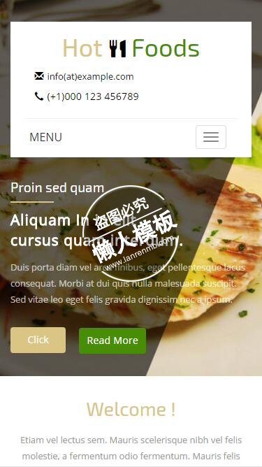 Hot Foods火热的食物触屏版html5手机wap餐饮酒店网站模板下载