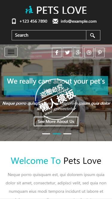 Pets Love关爱宠物触屏版html5手机wap宠物网站模板下载