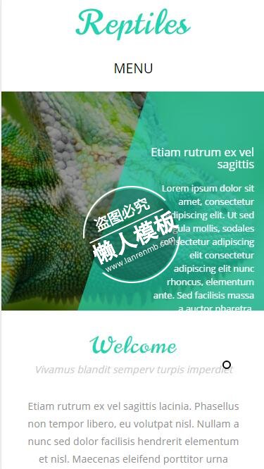 Reptiles两栖类动物家庭触屏版html5手机wap宠物网站模板下载