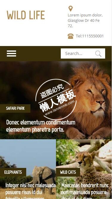 Wildlife大自然野生动物触屏版html5手机wap宠物网站模板下载