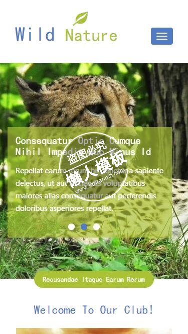 Wild Nature大自然野性动物触屏版html5手机wap宠物网站模板下载
