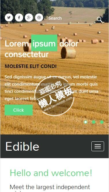 Edible稻田农场种植html5手机wap生态农业企业网站模板免费下载
