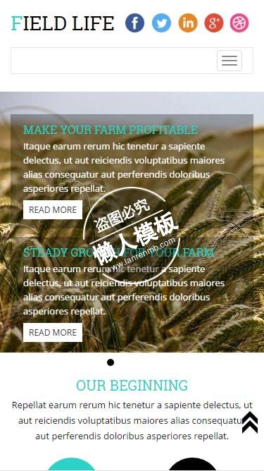 Field Life麦子种植丰收html5手机生态农业企业网站模板免费下载