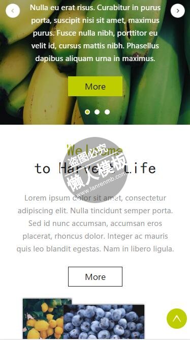 Harvest Life可口水果html5手机生态农业企业网站模板免费下载