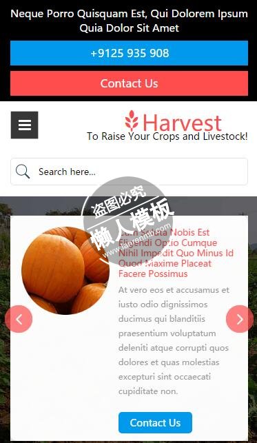 Harvest农家蔬菜丰收html5手机wap生态农业企业网站模板免费下载