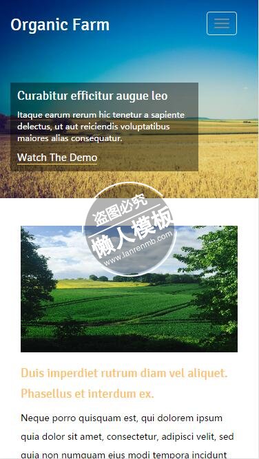 Organic Farm橙色农场html5手机生态农业企业网站模板免费下载