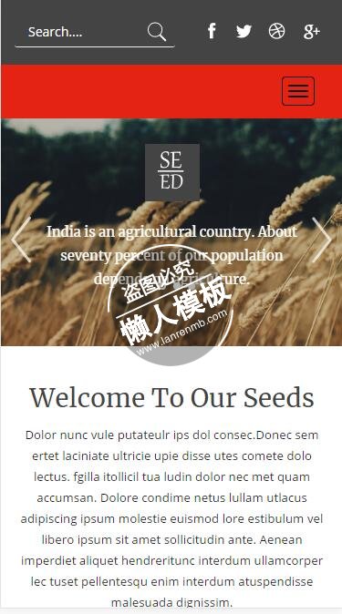 Seed优质农作物种子html5手机wap生态农业企业网站模板免费下载