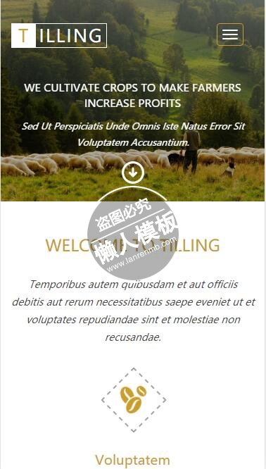 Tilling动植物养殖场html5手机wap生态农业企业网站模板免费下载