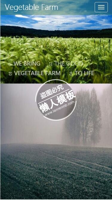 Vegetable Farm动态单页html5手机生态农业企业网站模板免费下载