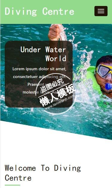 Diving Centre html5手机wap体育网站模板免费下载