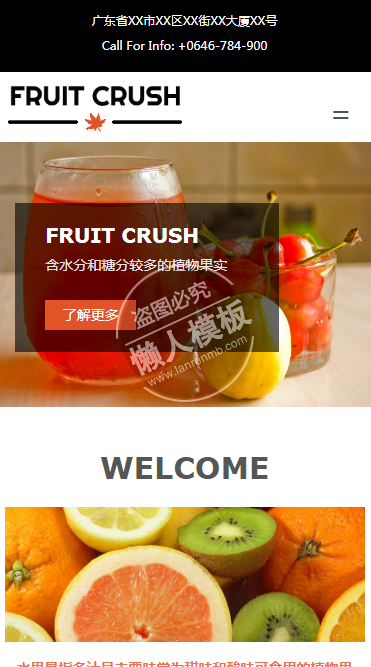 FRUIT CRUSH水果专题新闻自适应响应式新闻网站双模板下载