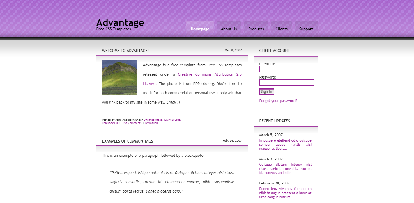 advantage登陆页面网站模板免费下载
