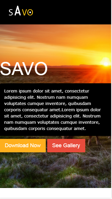 SAVO数码门户类自适应响应式网站模板素材免费下载