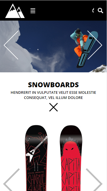 snowboarding滑板专卖自适应响应式网站模板素材免费下载