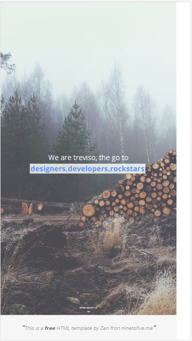 treviso迷雾森林大图设计类自适应响应式网站模板素材免费下载