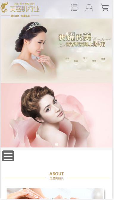 美容肌行业自适应响应式网站模板素材免费下载