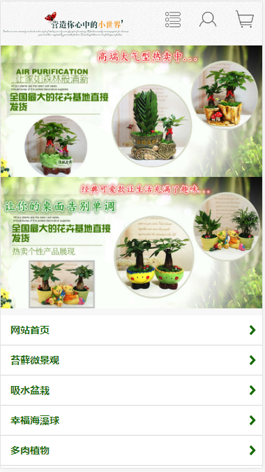 盆栽植物公司自适应响应式网站模板素材免费下载