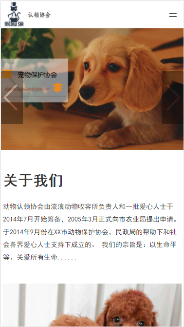 MEqiu SIR流浪动物保护自适应响应式网站模板免费下载