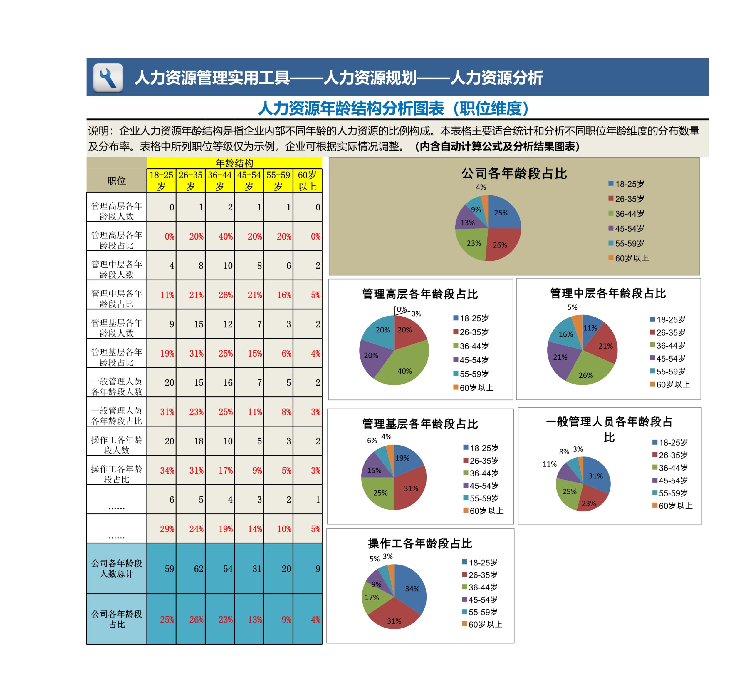 人力资源年龄结构分析图表（职位维度）Excle表格样本模板免费下载