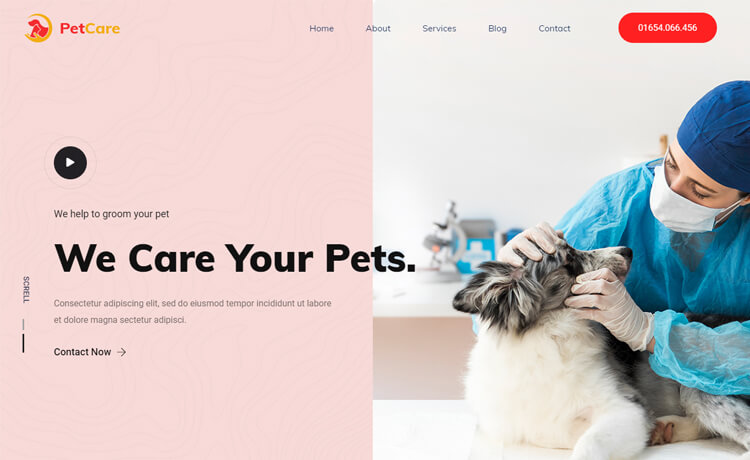 有影响力的外观免费 Bootstrap 4 HTML5健康宠物动物医院门诊所网站模板自适应HTML5网站模板免费下载