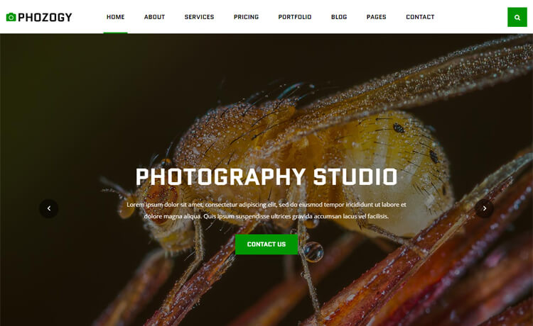 免费引人注目壮观的设计Bootstrap 4 响应式摄影商业网站模板响应式CSS3自适应HTML5网站模板免费下载