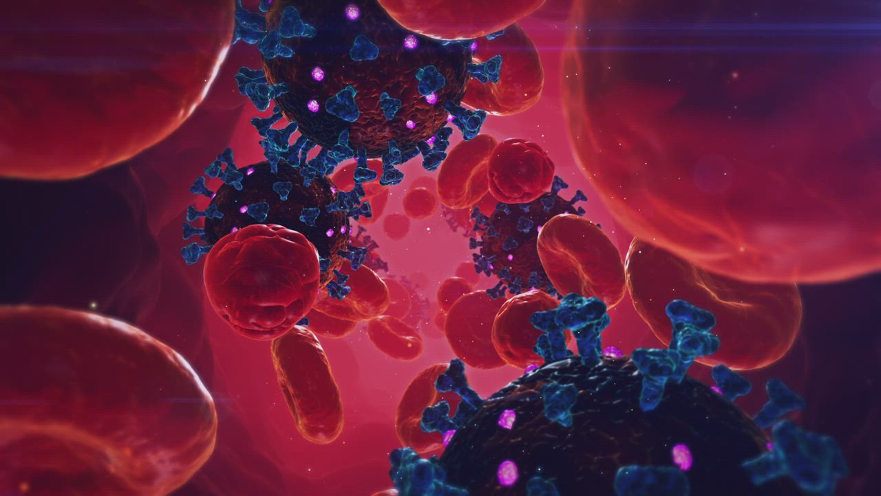 病毒感染人体的动画视频模板素材完整版免费下载