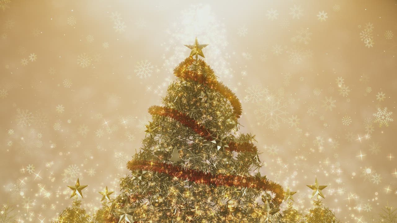 美丽的巨型圣诞树旋转3D渲染视频模板素材完整版免费下载