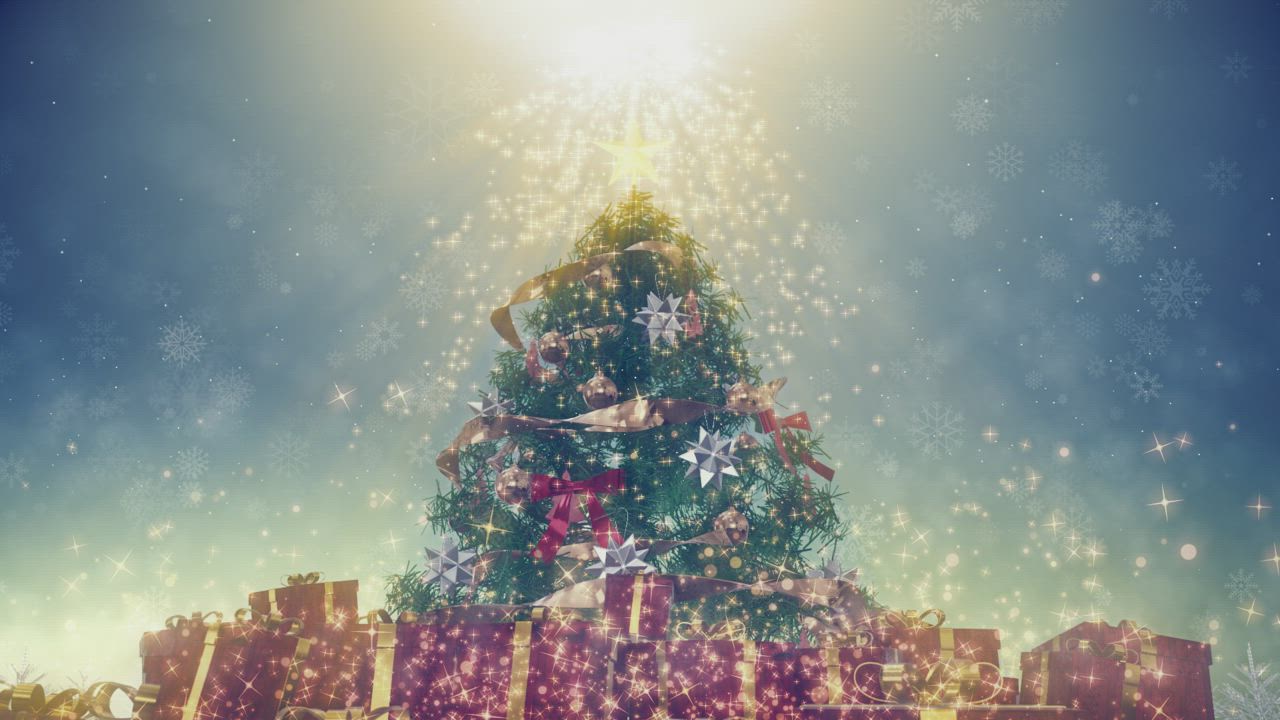 有着明亮星星的圣诞树视频模板素材完整版免费下载