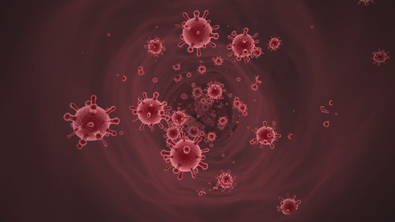 穿过充满许多红色病毒的隧道视频模板素材完整版免费下载