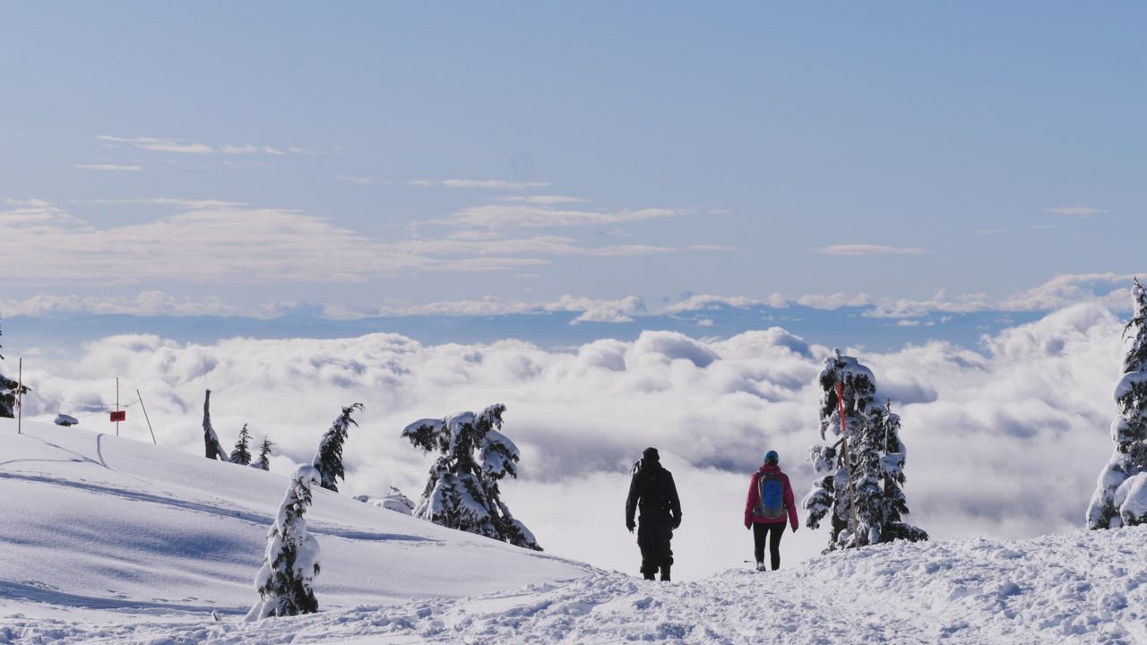 人们走在白雪皑皑的山顶上，躲在两棵松树之间的斜坡上背景视频模板素材完整版免费下载