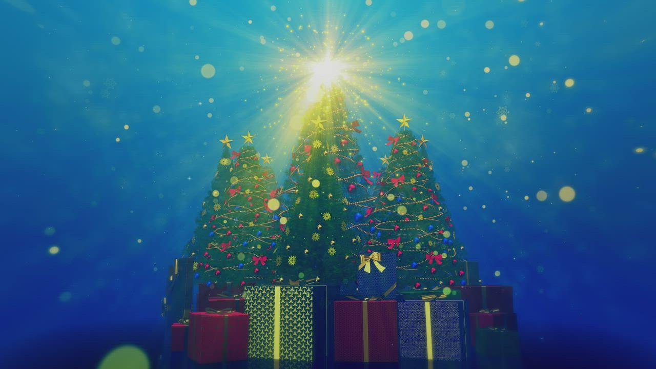 星星在圣诞树上闪耀视频模板素材完整版免费下载