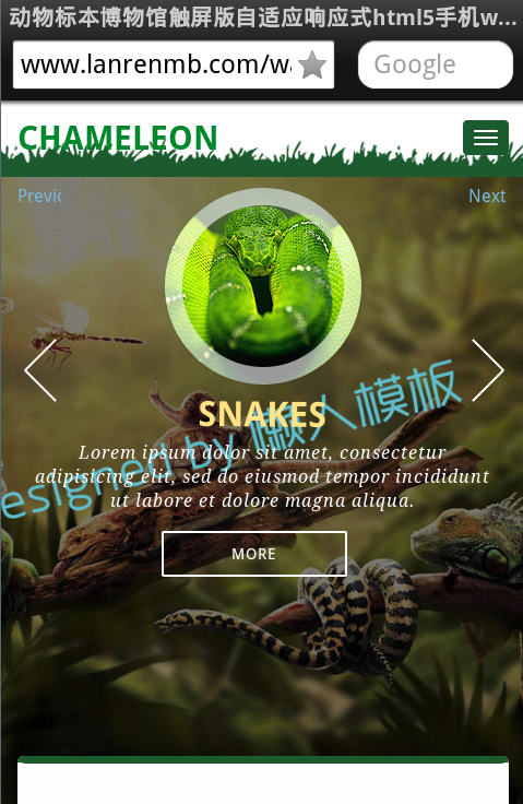 动物标本博物馆触屏版自适应响应式html5手机wap网站模板下载