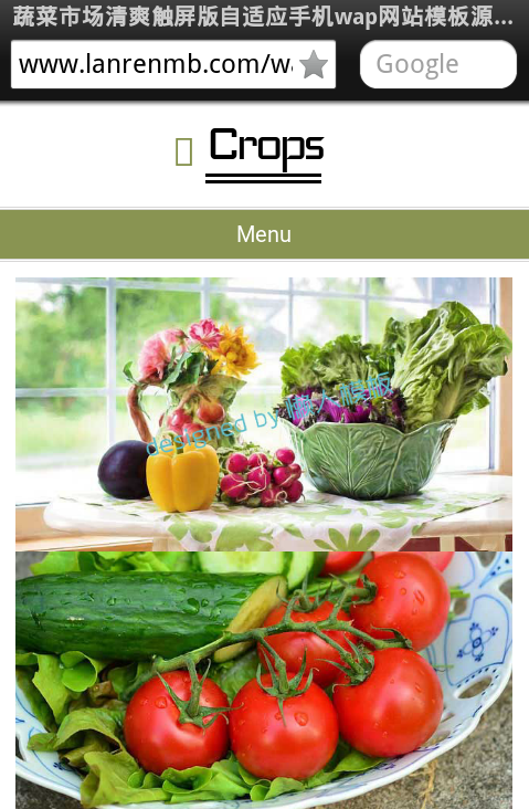 蔬菜市场清爽触屏版自适应手机wap网站模板源码下载
