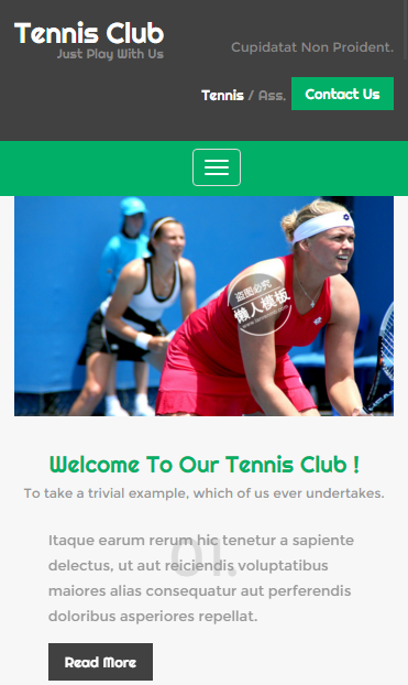 网球竞技协会官方触屏版自适应手机wap网站模板源码下载