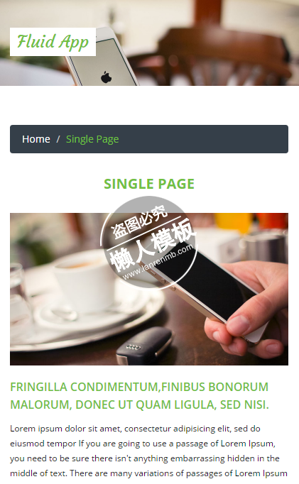 Fluid App简单单页商务html5手机专题单页网站模板源码下载