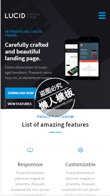 Lucid手机商务软件制作html5手机专题单页网站模板源码下载