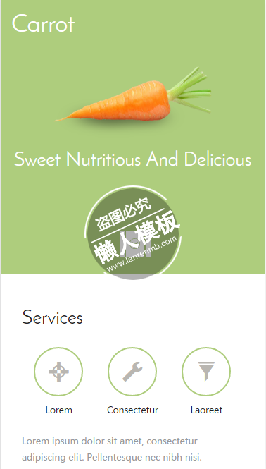 Carrot胡萝卜系列菜系触屏版html5手机wap餐饮酒店网站模板下载