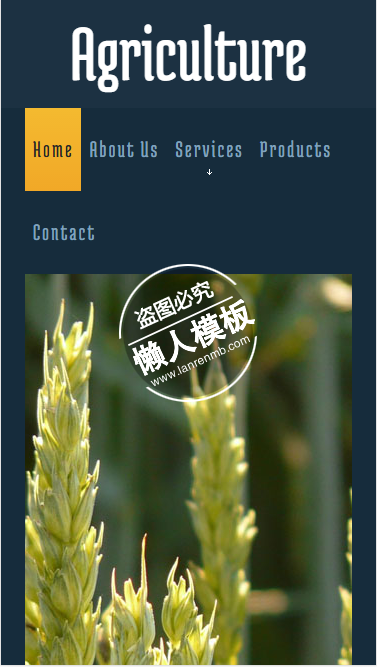 The Agriculture html5手机wap生态农业企业网站模板免费下载