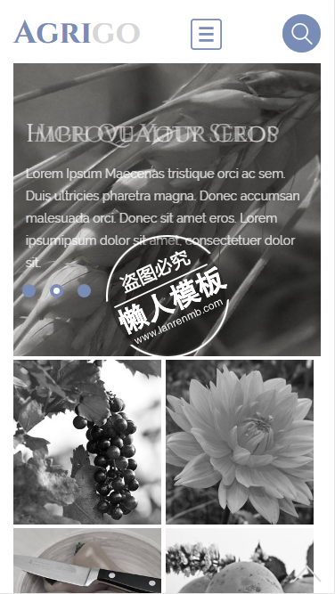 Agrigo灰色色调html5手机wap生态农业企业网站模板免费下载