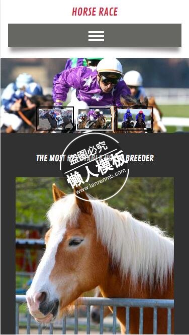Horse race赛马触屏版html5手机wap宠物网站模板下载