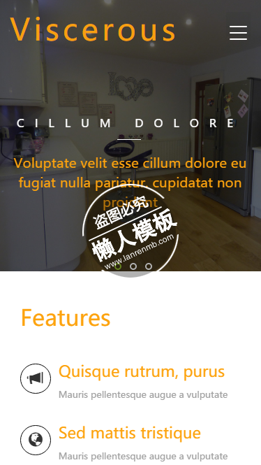 Viscerous橙色文字风格html5家居设计家具手机网站模板免费下载