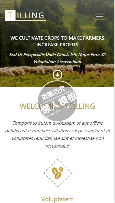 Tilling动植物养殖场html5手机wap生态农业企业网站模板免费下载