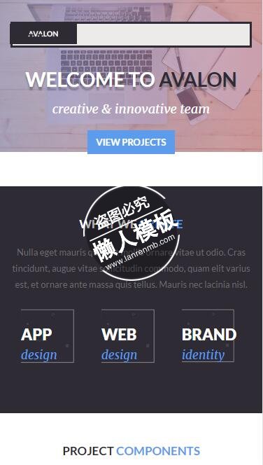 Avalon计算机网站及软件设计html5公司企业手机网站模板免费下载