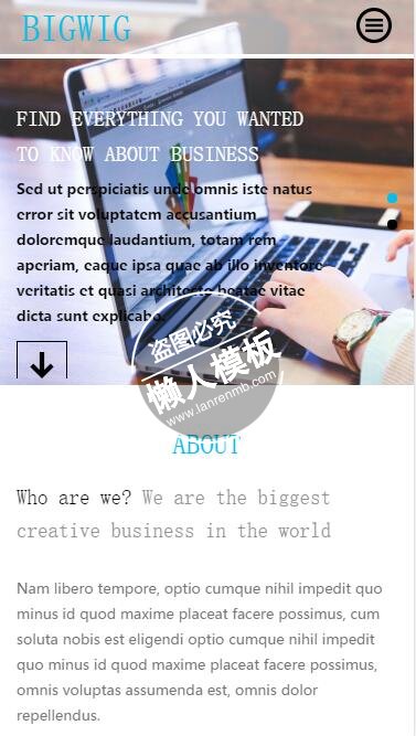 Bigwig商务业务代理单页html5公司企业手机wap网站模板免费下载