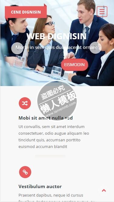 Cene Dignisin网站服务设计html5公司企业手机网站模板免费下载